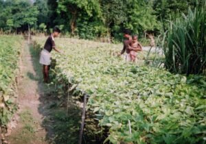 Nursery