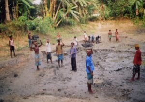 Pond Re-excavation